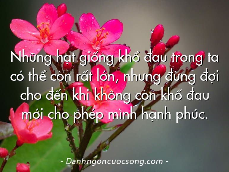 Những hạt giống khổ đau trong ta có thể còn rất lớn, nhưng đừng đợi cho đến khi không còn khổ đau mới cho phép mình hạnh phúc.