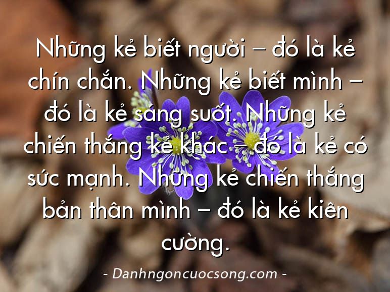 Những kẻ biết người – đó là kẻ chín chắn. Những kẻ biết mình – đó là kẻ sáng suốt. Những kẻ chiến thắng kẻ khác – đó là kẻ có sức mạnh. Những kẻ chiến thắng bản thân mình – đó là kẻ kiên cường.