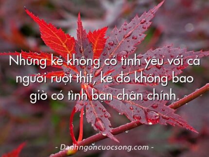 Những kẻ không có tình yêu với cả người ruột thịt, kẻ đó không bao giờ có tình bạn chân chính.