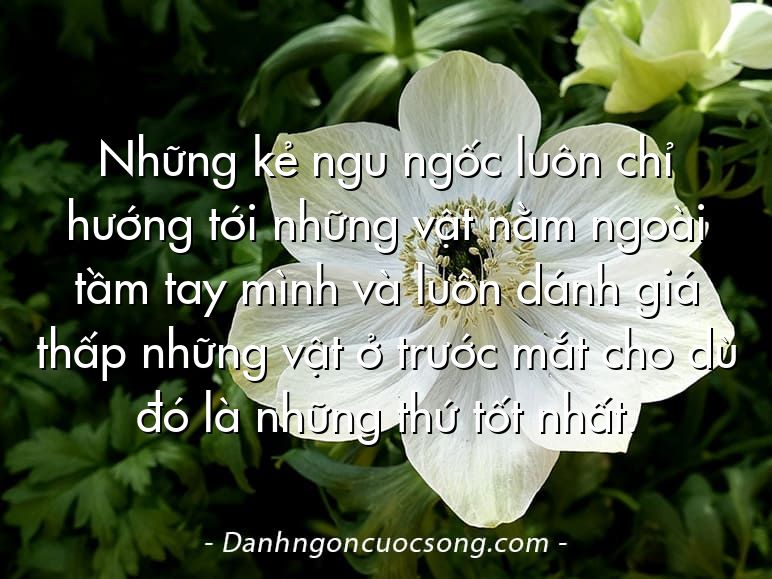 Những kẻ ngu ngốc luôn chỉ hướng tới những vật nằm ngoài tầm tay mình và luôn dánh giá thấp những vật ở trước mắt cho dù đó là những thứ tốt nhất.