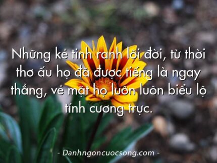 Những kẻ tinh ranh lõi đời, từ thời thơ ấu họ đã được tiếng là ngay thẳng, vẻ mặt họ luôn luôn biểu lộ tính cương trực.