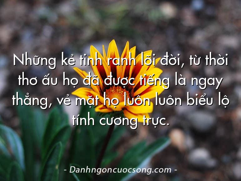 Những kẻ tinh ranh lõi đời, từ thời thơ ấu họ đã được tiếng là ngay thẳng, vẻ mặt họ luôn luôn biểu lộ tính cương trực.