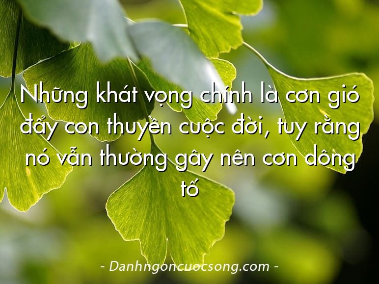 Những khát vọng chính là cơn gió đẩy con thuyền cuộc đời, tuy rằng nó vẫn thường gây nên cơn dông tố