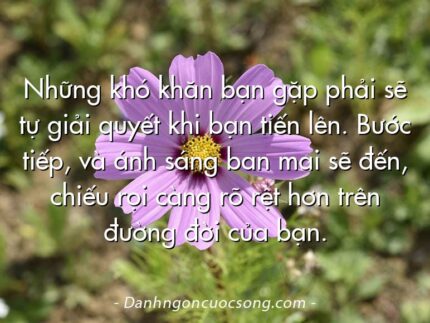 Những khó khăn bạn gặp phải sẽ tự giải quyết khi bạn tiến lên. Bước tiếp, và ánh sáng ban mai sẽ đến, chiếu rọi càng rõ rệt hơn trên đường đời của bạn.