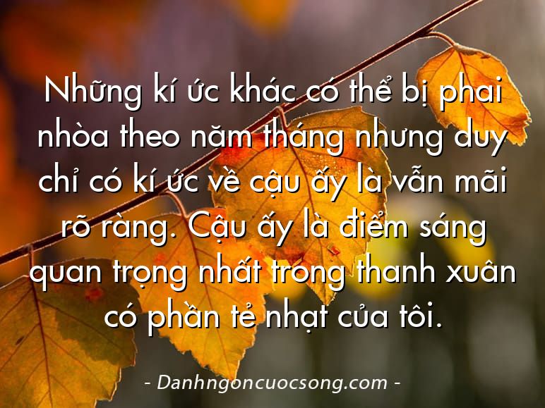Những kí ức khác có thể bị phai nhòa theo năm tháng nhưng duy chỉ có kí ức về cậu ấy là vẫn mãi rõ ràng. Cậu ấy là điểm sáng quan trọng nhất trong thanh xuân có phần tẻ nhạt của tôi.