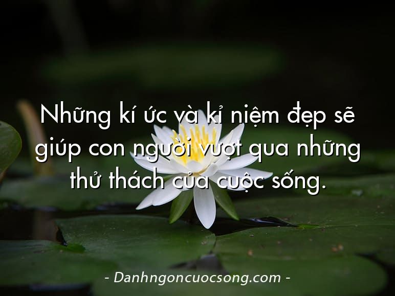 Những kí ức và kỉ niệm đẹp sẽ giúp con người vượt qua những thử thách của cuộc sống.
