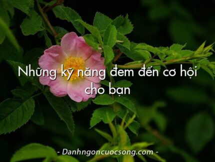 Những kỹ năng đem đến cơ hội cho bạn