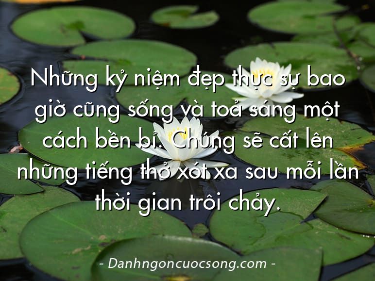 Những kỷ niệm đẹp thực sự bao giờ cũng sống và toả sáng một cách bền bỉ. Chúng sẽ cất lên những tiếng thở xót xa sau mỗi lần thời gian trôi chảy.