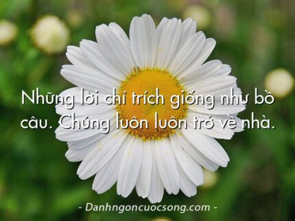Những lời chỉ trích giống như bồ câu. Chúng luôn luôn trở về nhà.
