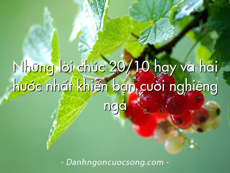 Những lời chúc 20/10 hay và hài hước nhất khiến bạn cười nghiêng ngả