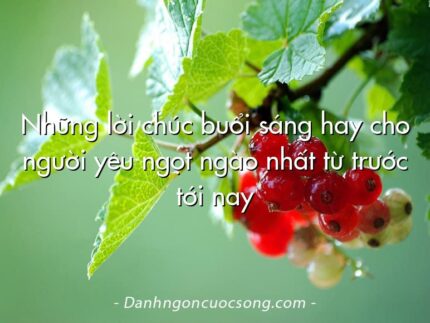 Những lời chúc buổi sáng hay cho người yêu ngọt ngào nhất từ trước tới nay