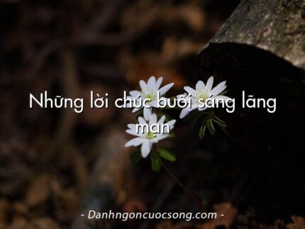 Những lời chúc buổi sáng lãng mạn