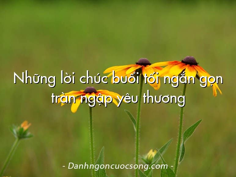 Những lời chúc buổi tối ngắn gọn tràn ngập yêu thương
