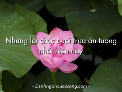 Những lời chúc buổi trưa ấn tượng nhất hiện nay