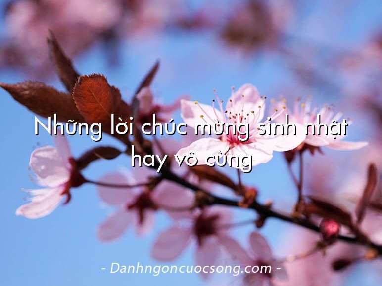Những lời chúc mừng sinh nhật hay vô cùng