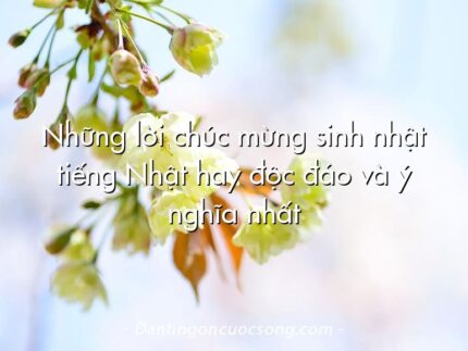 Những lời chúc mừng sinh nhật tiếng Nhật hay độc đáo và ý nghĩa nhất