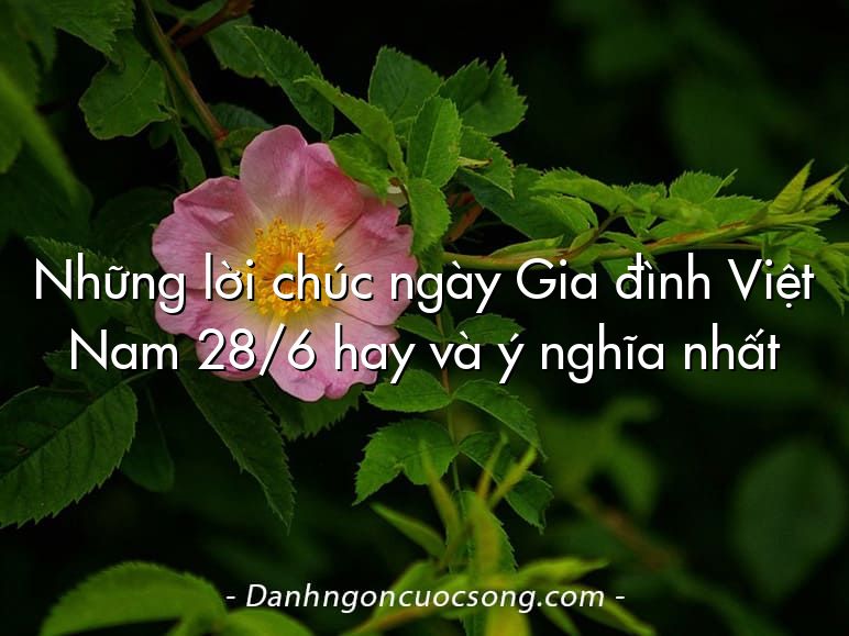 Những lời chúc ngày Gia đình Việt Nam 28/6 hay và ý nghĩa nhất