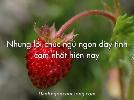 Những lời chúc ngủ ngon đầy tình cảm nhất hiện nay