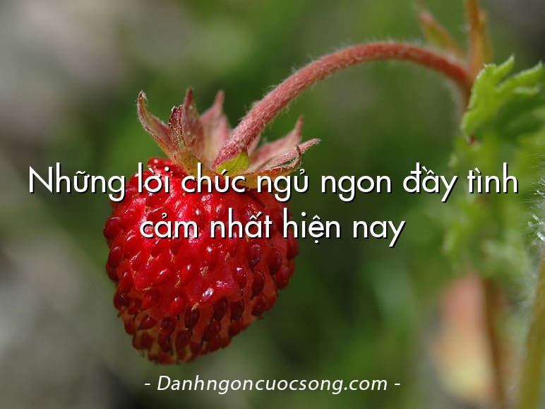 Những lời chúc ngủ ngon đầy tình cảm nhất hiện nay