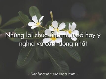 Những lời chúc sinh nhật bố hay ý nghĩa và cảm động nhất