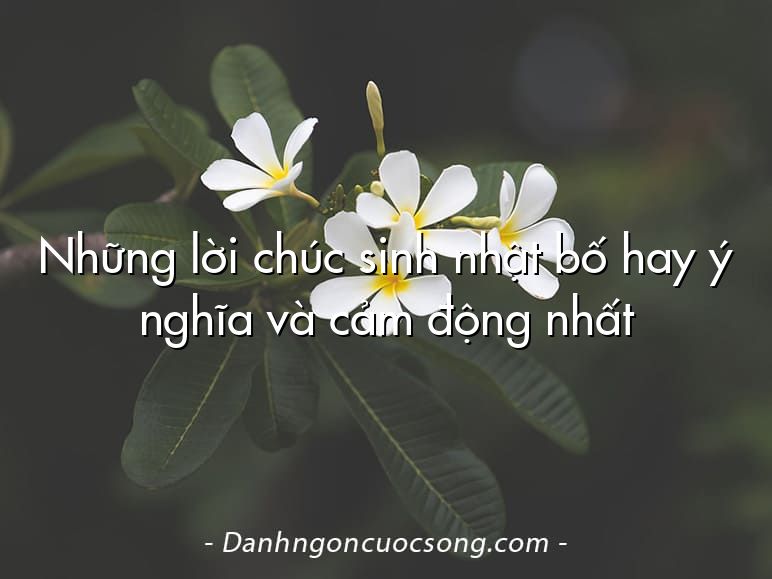 Những lời chúc sinh nhật bố hay ý nghĩa và cảm động nhất