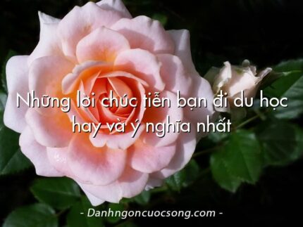 Những lời chúc tiễn bạn đi du học hay và ý nghĩa nhất
