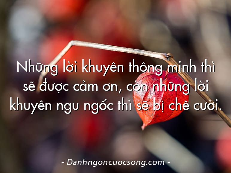 Những lời khuyên thông minh thì sẽ được cảm ơn, còn những lời khuyên ngu ngốc thì sẽ bị chê cười.