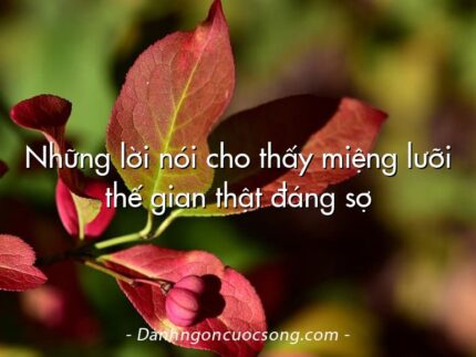 Những lời nói cho thấy miệng lưỡi thế gian thật đáng sợ