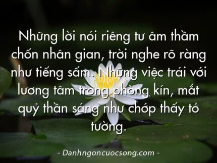 Những lời nói riêng tư âm thầm chốn nhân gian, trời nghe rõ ràng như tiếng sấm. Những việc trái với lương tâm trong phòng kín, mắt quỷ thần sáng như chớp thấy tỏ tường.