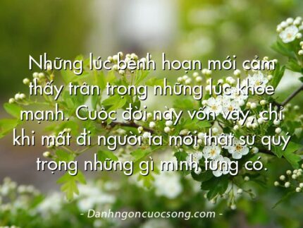 Những lúc bệnh hoạn mới cảm thấy trân trọng những lúc khỏe mạnh. Cuộc đời này vốn vậy, chỉ khi mất đi người ta mới thật sự quý trọng những gì mình từng có.
