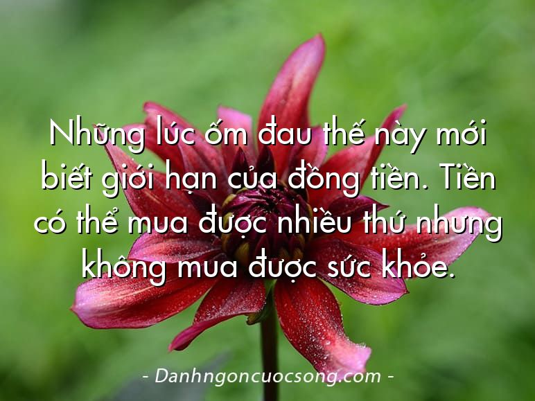 Những lúc ốm đau thế này mới biết giới hạn của đồng tiền. Tiền có thể mua được nhiều thứ nhưng không mua được sức khỏe.