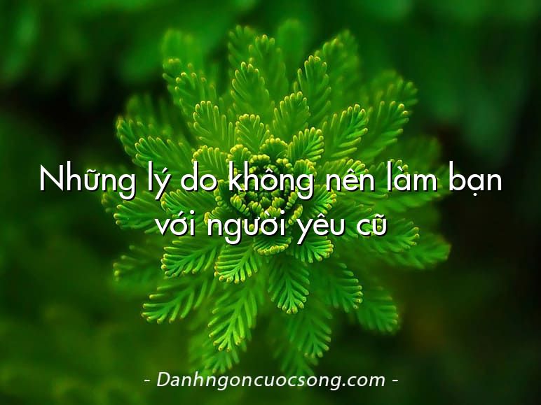 Những lý do không nên làm bạn với người yêu cũ