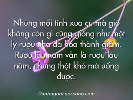 Những mối tình xưa cũ mà giờ không còn gì cũng giống như một ly rượu nho đã hóa thành giấm. Rượu lâu năm vẫn là rượu lâu năm, nhưng thật khó mà uống được.