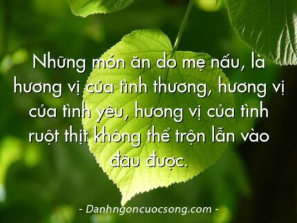 Những món ăn do mẹ nấu, là hương vị của tình thương, hương vị của tình yêu, hương vị của tình ruột thịt không thể trộn lẫn vào đâu được.