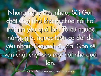 Những ngày bên nhau, Sài Gòn chật chội như không chứa nổi hai trái tim yêu quá lớn. Ta cứ ngược nắng, gió, ngược luôn cả đời để yêu nhau. Giờ anh đi, Sài Gòn sẽ vẫn chật chội cho một nỗi nhớ quá lớn.