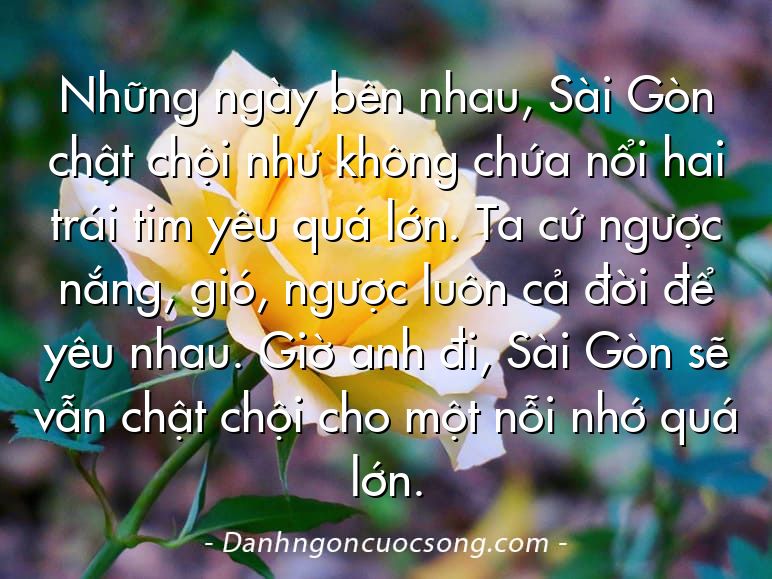 Những ngày bên nhau, Sài Gòn chật chội như không chứa nổi hai trái tim yêu quá lớn. Ta cứ ngược nắng, gió, ngược luôn cả đời để yêu nhau. Giờ anh đi, Sài Gòn sẽ vẫn chật chội cho một nỗi nhớ quá lớn.