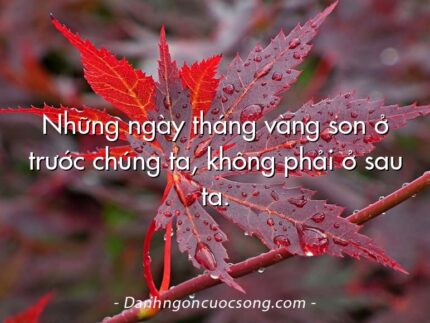 Những ngày tháng vàng son ở trước chúng ta, không phải ở sau ta.