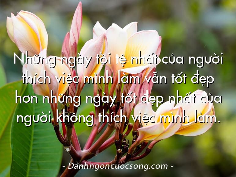 Những ngày tồi tệ nhất của người thích việc mình làm vẫn tốt đẹp hơn những ngày tốt đẹp nhất của người không thích việc mình làm.