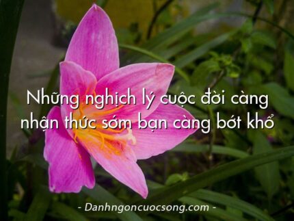 Những nghịch lý cuộc đời càng nhận thức sớm bạn càng bớt khổ