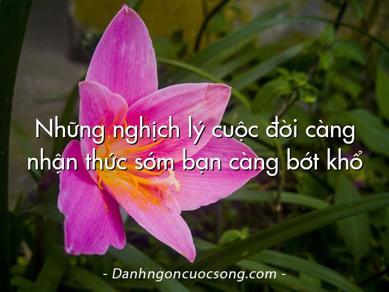 Những nghịch lý cuộc đời càng nhận thức sớm bạn càng bớt khổ