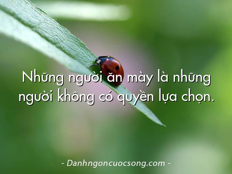 Những người ăn mày là những người không có quyền lựa chọn.