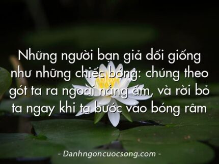 Những người bạn giả dối giống như những chiếc bóng: chúng theo gót ta ra ngoài nắng ấm, và rời bỏ ta ngay khi ta bước vào bóng râm