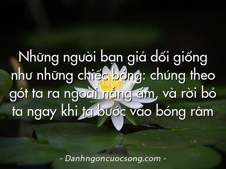 Những người bạn giả dối giống như những chiếc bóng: chúng theo gót ta ra ngoài nắng ấm, và rời bỏ ta ngay khi ta bước vào bóng râm