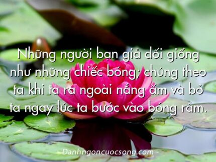 Những người bạn giả dối giống như những chiếc bóng; chúng theo ta khi ta ra ngoài nắng ấm và bỏ ta ngay lúc ta bước vào bóng râm.