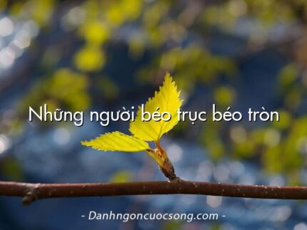 Những người béo trục béo tròn