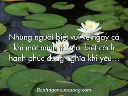 Những người biết vui vẻ ngay cả khi một mình thì mới biết cách hạnh phúc đúng nghĩa khi yêu…