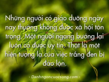 Những người có giáo dưỡng ngày nay thường không được xã hội tôn trọng. Một người ngang bướng lại luôn có được uy tín. Thật là một hiện tượng lạ của việc trắng đen bị đảo lộn.