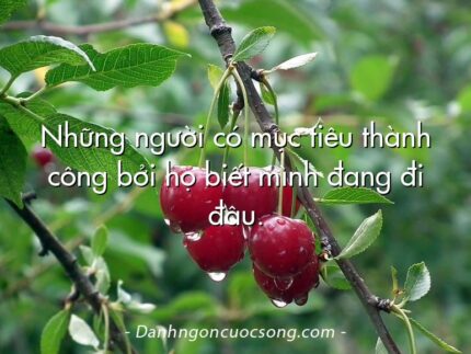 Những người có mục tiêu thành công bởi họ biết mình đang đi đâu.