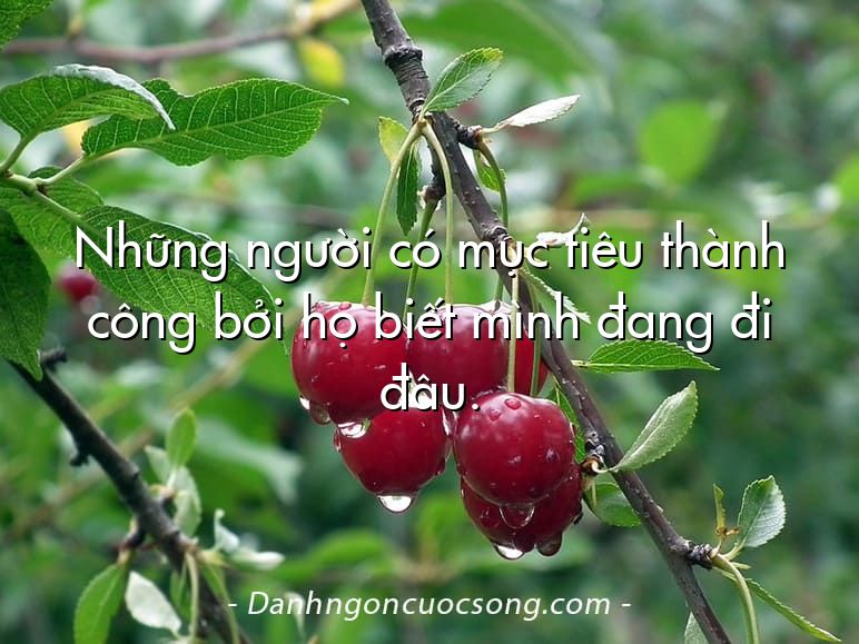 Những người có mục tiêu thành công bởi họ biết mình đang đi đâu.