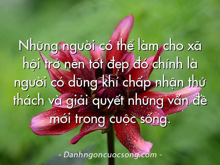 Những người có thể làm cho xã hội trở nên tốt đẹp đó chính là người có dũng khí chấp nhận thử thách và giải quyết những vấn đề mới trong cuộc sống.